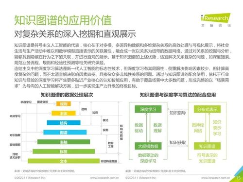 2020年中國面向人工智能新基建的知識圖譜行業(yè)白皮書 人工智能基礎(chǔ)軟件開發(fā)