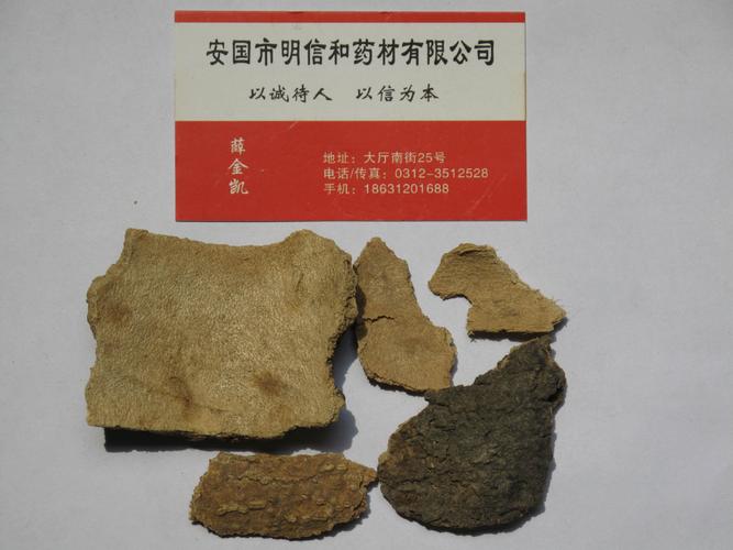 椿根皮 冷背藥材中的清熱燥濕妙品 —— 價格、廠家與采購指南